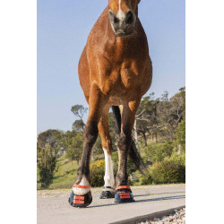 Fesselriemen Scoot Boots im 4er-Pack Hibiskus Rot Fesselriemen Scoot Boots im 4er-Pack Hibiskus Rot