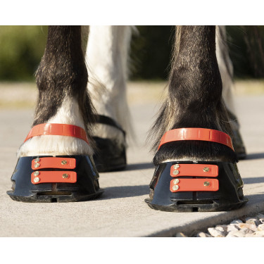 Fesselriemen Scoot Boots im 4er-Pack Hibiskus Rot Fesselriemen Scoot Boots im 4er-Pack Hibiskus Rot