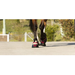 Fesselriemen Scoot Boots im 4er-Pack Brombeere Bordeaux Fesselriemen Scoot Boots im 4er-Pack Brombeere Bordeaux
