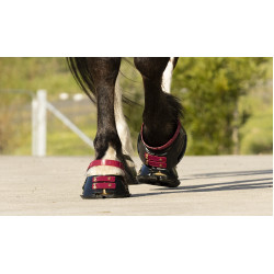 Fesselriemen Scoot Boots im 4er-Pack Brombeere Bordeaux Fesselriemen Scoot Boots im 4er-Pack Brombeere Bordeaux