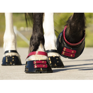 Fesselriemen Scoot Boots im 4er-Pack Brombeere Bordeaux Fesselriemen Scoot Boots im 4er-Pack Brombeere Bordeaux