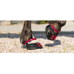 Fesselriemen Scoot Boots im 4er-Pack Brombeere Bordeaux Fesselriemen Scoot Boots im 4er-Pack Brombeere Bordeaux