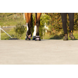 Fesselriemen Scoot Boots im 4er-Pack Blüte Lila