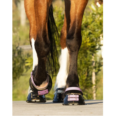 Fesselriemen Scoot Boots im 4er-Pack Blüte Lila