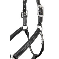 Genähter Lederhalfter LeMieux Schwarz Genähter Lederhalfter LeMieux Schwarz