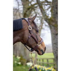 Genähter Lederhalfter LeMieux Braun Genähter Lederhalfter LeMieux Braun