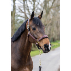 Genähter Lederhalfter LeMieux Braun Genähter Lederhalfter LeMieux Braun