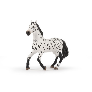 Großes Appaloosa-Pferd Papo