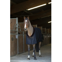 Chemise séchante Equithème Teddy Bleu marine