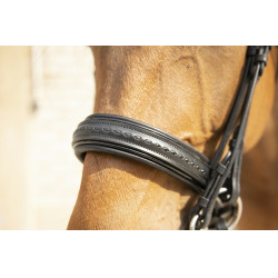 Zaumzeug Pénélope Point Sellier Schwarz