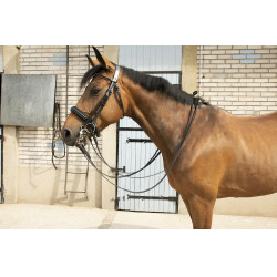 Zaumzeug Pénélope Point Sellier Schwarz