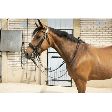 Zaumzeug Pénélope Point Sellier Zaumzeug Pénélope Point Sellier