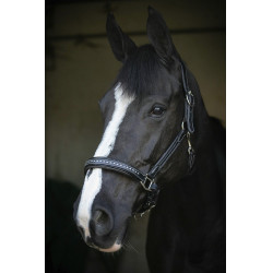 Lederhalfter Pénélope Point Sellier Schwarz