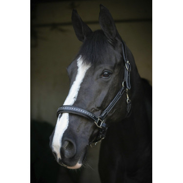 Lederhalfter Pénélope Point Sellier Schwarz Lederhalfter Pénélope Point Sellier Schwarz