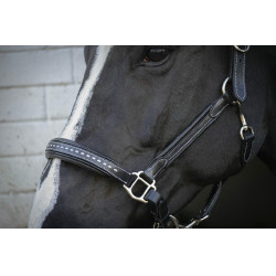 Lederhalfter Pénélope Point Sellier Schwarz