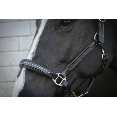 Lederhalfter Pénélope Point Sellier Schwarz Lederhalfter Pénélope Point Sellier Schwarz