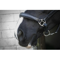 Lederhalfter Pénélope Point Sellier Schwarz