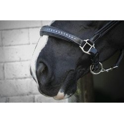 Lederhalfter Pénélope Point Sellier Schwarz