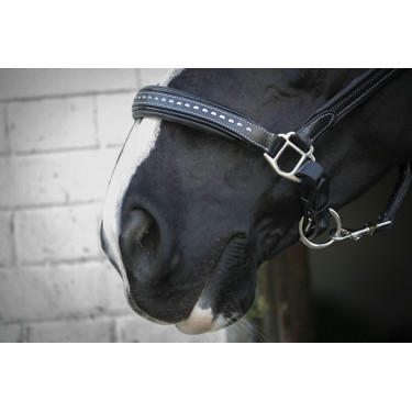 Lederhalfter Pénélope Point Sellier Schwarz Lederhalfter Pénélope Point Sellier Schwarz