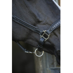 Lederhalfter Pénélope Point Sellier Schwarz