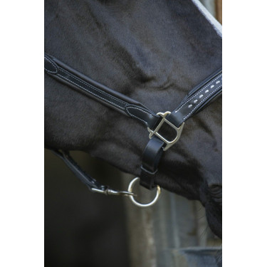 Lederhalfter Pénélope Point Sellier Schwarz Lederhalfter Pénélope Point Sellier Schwarz