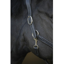 Lederhalfter Pénélope Point Sellier Schwarz