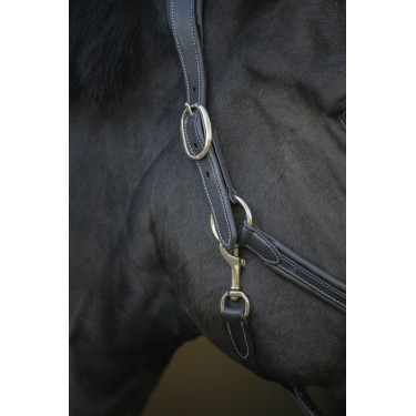 Lederhalfter Pénélope Point Sellier Schwarz Lederhalfter Pénélope Point Sellier Schwarz