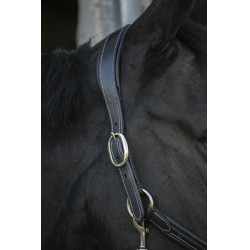 Lederhalfter Pénélope Point Sellier Schwarz