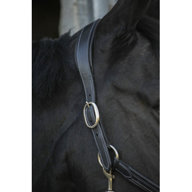 Lederhalfter Pénélope Point Sellier Schwarz Lederhalfter Pénélope Point Sellier Schwarz