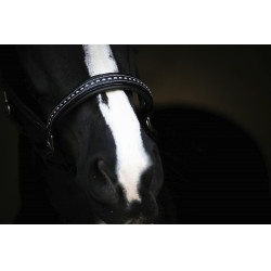 Lederhalfter Pénélope Point Sellier Schwarz