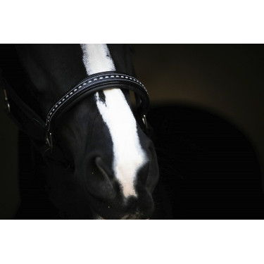 Lederhalfter Pénélope Point Sellier Schwarz Lederhalfter Pénélope Point Sellier Schwarz