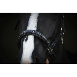 Lederhalfter Pénélope Point Sellier Schwarz