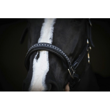 Lederhalfter Pénélope Point Sellier Schwarz Lederhalfter Pénélope Point Sellier Schwarz