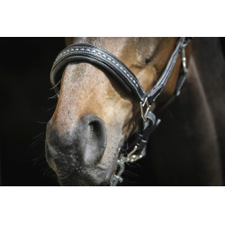 Lederhalfter Pénélope Point Sellier Schwarz