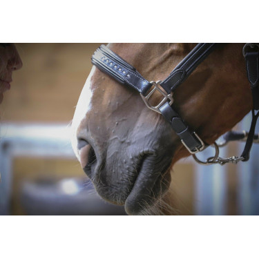 Lederhalfter Pénélope Point Sellier Schwarz Lederhalfter Pénélope Point Sellier Schwarz