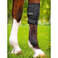 Kniebandage Back on Track