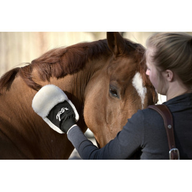 Putzhandschuh Pénélope Putzhandschuh Pénélope