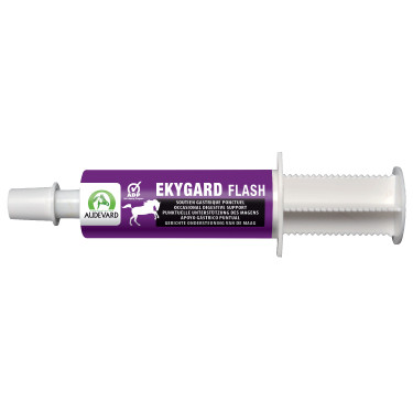 Ekygard Flash Audevard