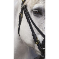 Excelsior Arbeitszaumzeug Havanna Braun Excelsior Arbeitszaumzeug Havanna Braun