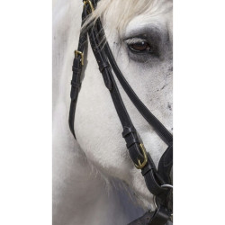 Excelsior Arbeitszaumzeug Schwarz Excelsior Arbeitszaumzeug Schwarz