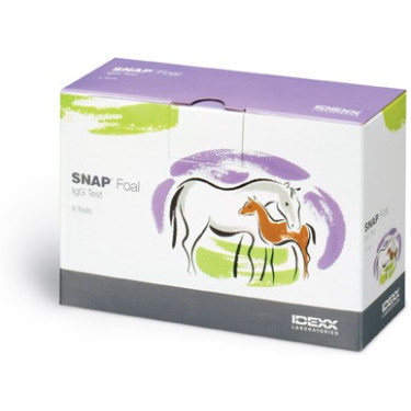Snap Fohlen - Kit Dosierung IgG Immunglobuline Fohlen