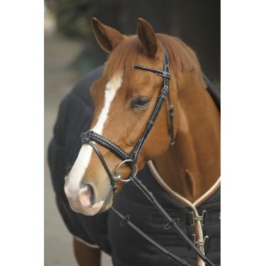 Trense Pénélope Point Sellier Schwarz