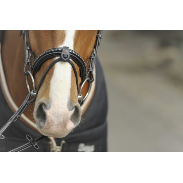 Trense Pénélope Point Sellier Schwarz