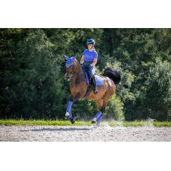 LeMieux Suede Dressur Schabracke Bluebell Blau LeMieux Suede Dressur Schabracke Bluebell Blau