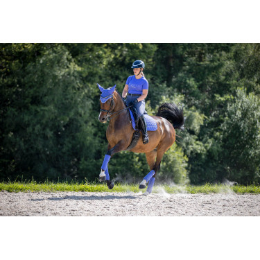 LeMieux Suede Dressur Schabracke Bluebell Blau LeMieux Suede Dressur Schabracke Bluebell Blau