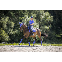 LeMieux Suede Dressur Schabracke Bluebell Blau LeMieux Suede Dressur Schabracke Bluebell Blau