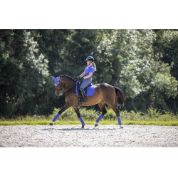 LeMieux Suede Dressur Schabracke Bluebell Blau LeMieux Suede Dressur Schabracke Bluebell Blau