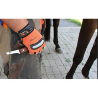 RENETTE SUPERPROFI RENETTE SUPERPROFI