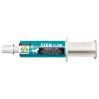 ZZEN FLASH