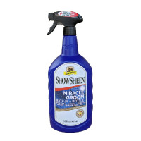 Reiniger Absorbine...